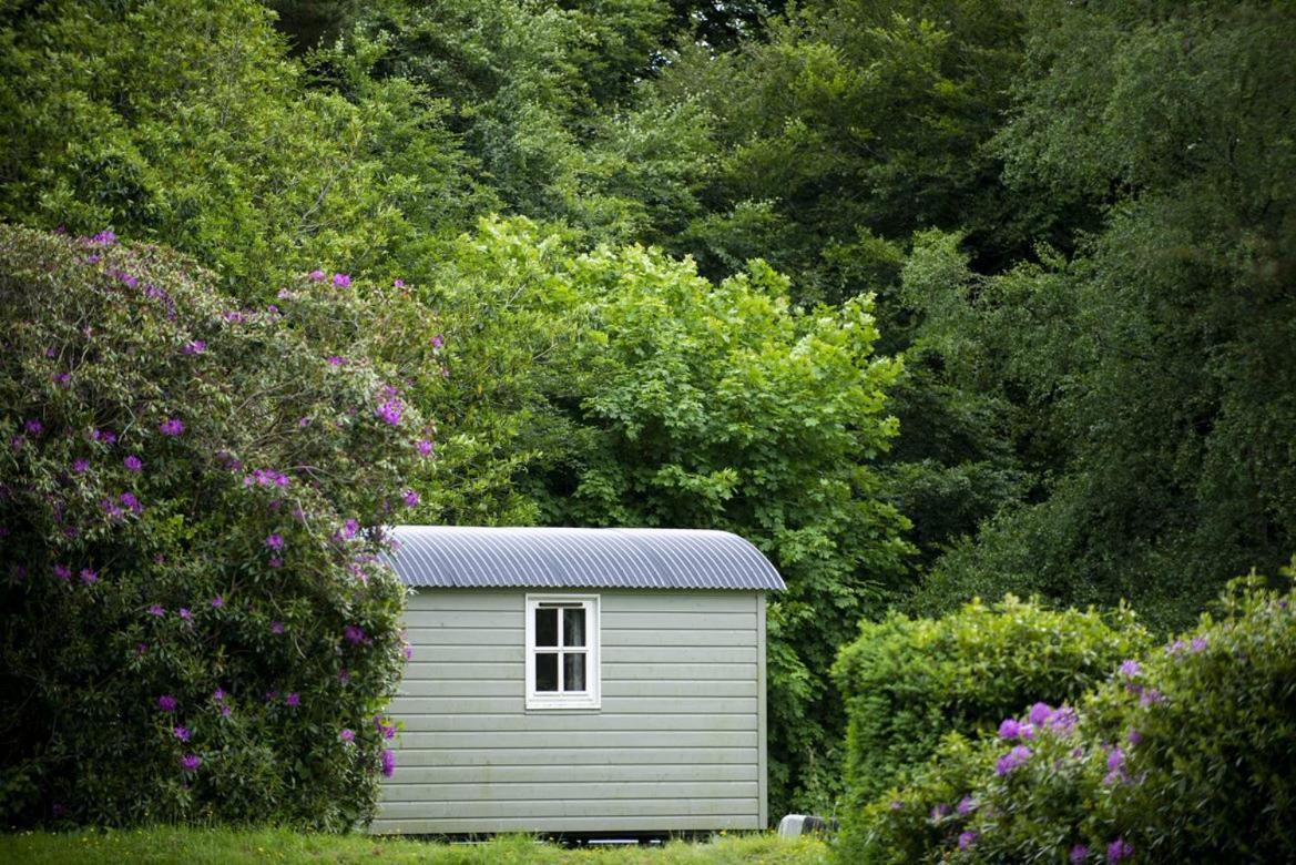 Blackstairs Shepherds Huts Killedmond Eksteriør bilde