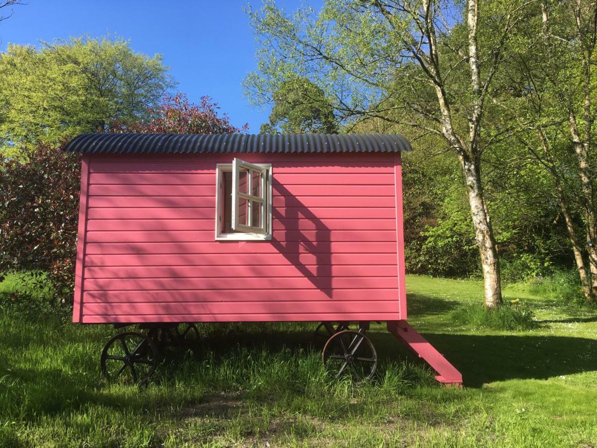 Blackstairs Shepherds Huts Killedmond Eksteriør bilde