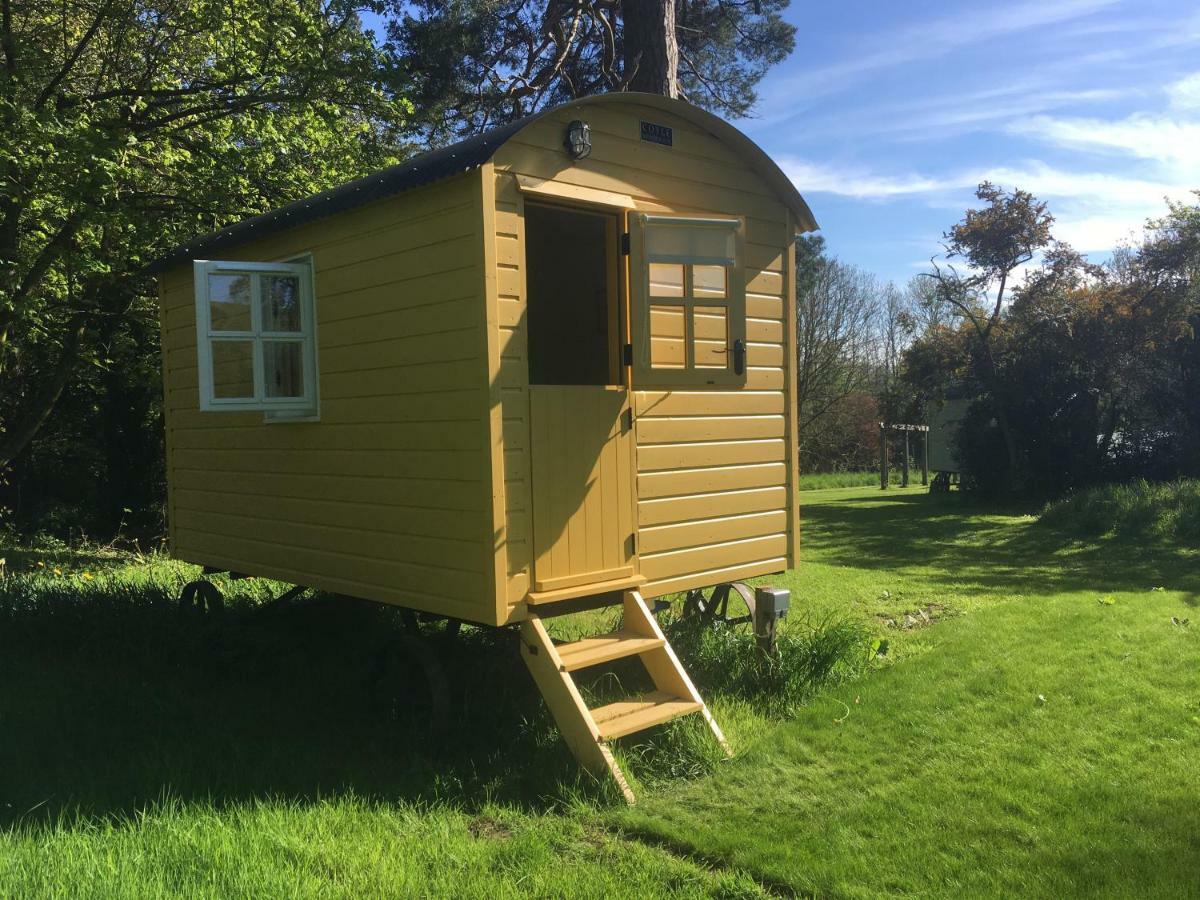 Blackstairs Shepherds Huts Killedmond Eksteriør bilde